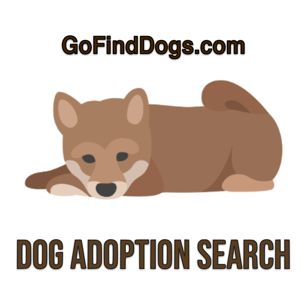 GoFindDogs.com Website